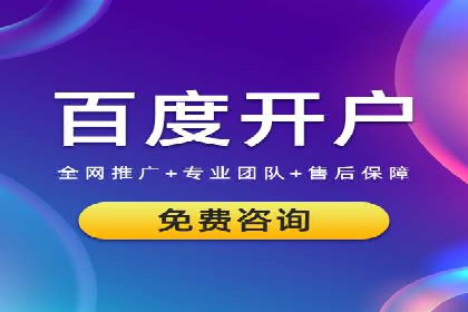 案例分析：SEM推广代运营效果